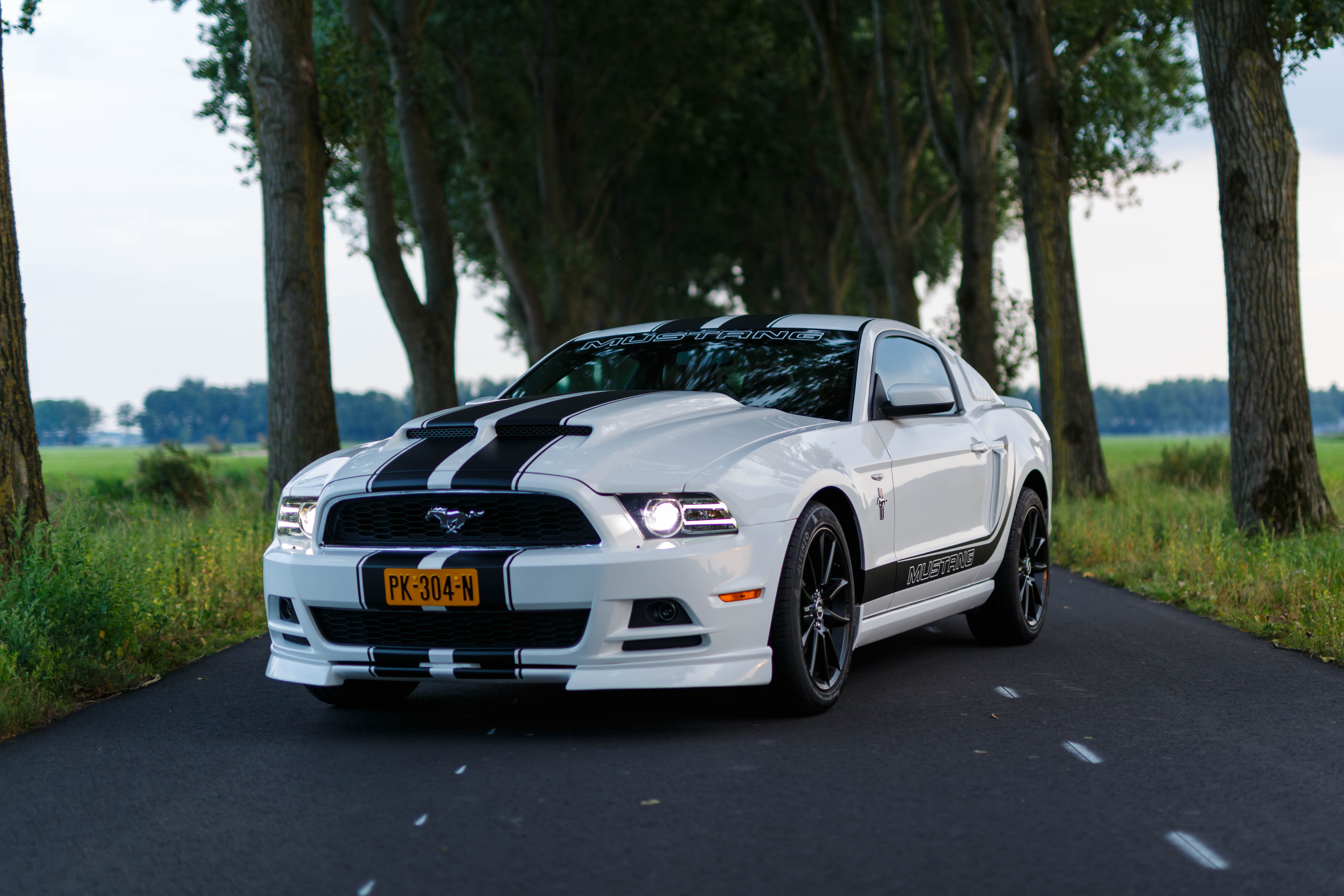 Ford-Mustang.nl - Alle Trouwauto's de kleur Wit