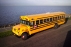 Continental Amerikaanse Schoolbus trouwbus verhuur