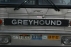 Greyhound Silver trouwbus verhuur